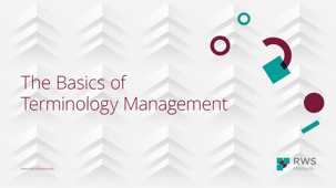 The Basics of Terminology Management