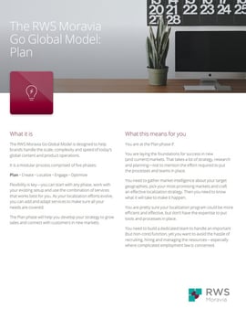 The RWS Moravia Go Global Model: Plan Ebook